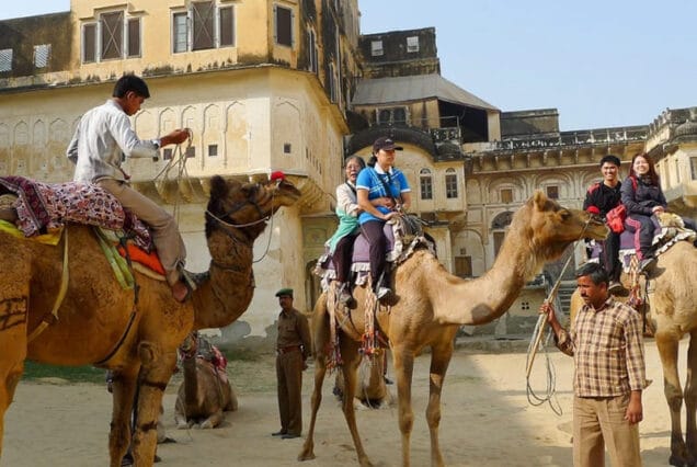 rajasthan-camel-safari-636x426
